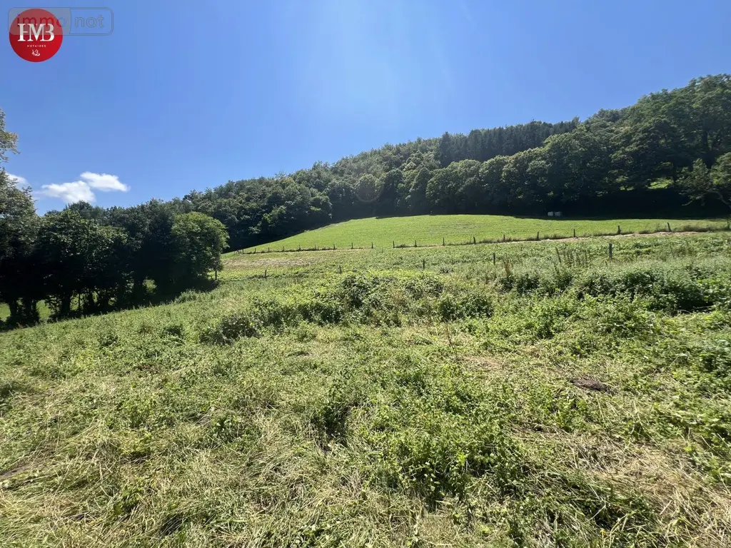 Terrain a batir a vendre Montsalvy 15120 Cantal 15 800 m2 28000 euros 10627/968 004