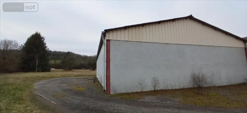 Fonds et murs commerciaux a vendre Rolampont 52260 Haute-Marne 52 580 m2 4 pièces 263000 euros 52020-1042772 005