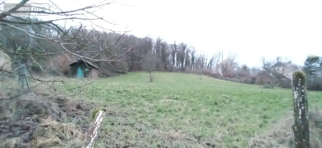 Terrain a batir a vendre Thivet 52800 Haute-Marne 52 40000 euros 020/985 002