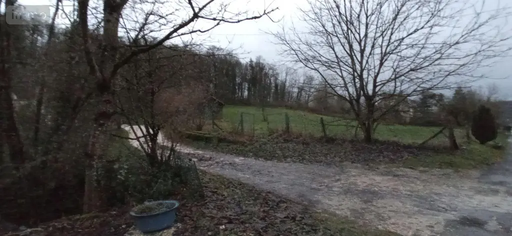 Terrain a batir a vendre Thivet 52800 Haute-Marne 52 40000 euros 020/985 003