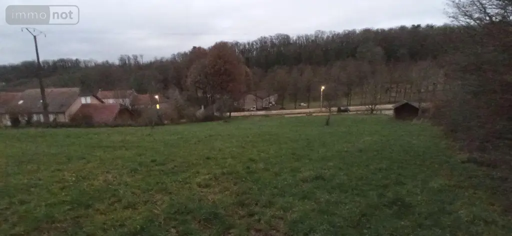 Terrain a batir a vendre Thivet 52800 Haute-Marne 52 40000 euros 020/985 004
