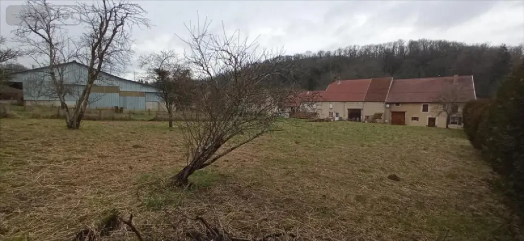 Terrain a batir a vendre Villegusien-le-Lac 52190 Haute-Marne 52 17000 euros 020/1211 007