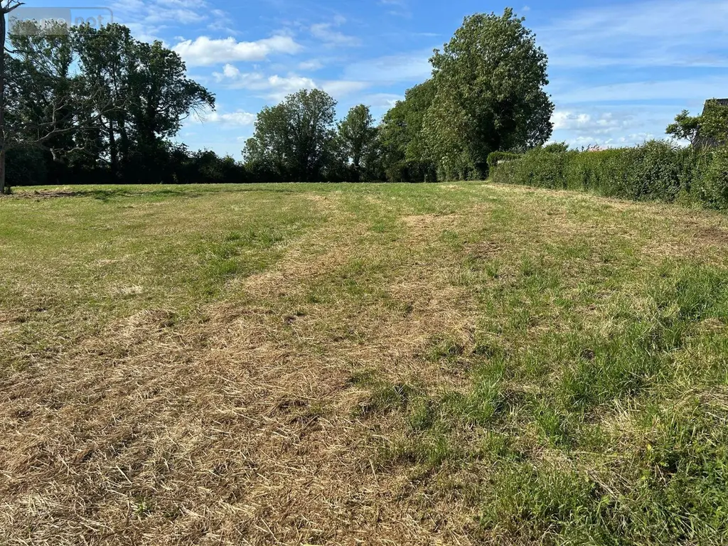 Terrain a batir a vendre Herzeele 59470 Nord 59 132000 euros 12983-40 005