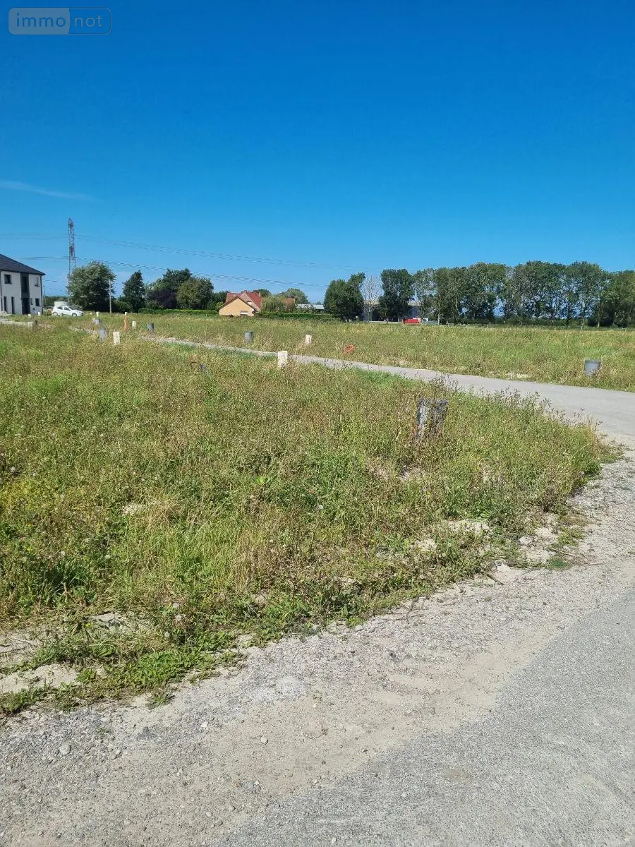 Terrain a batir a vendre Saint-Folquin 62370 Pas-de-Calais 62 500 m2 85200 euros TEBA00733 002