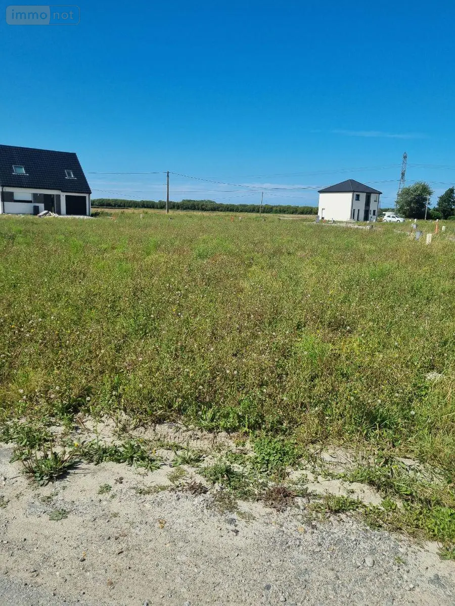 Terrain a batir a vendre Saint-Folquin 62370 Pas-de-Calais 62 500 m2 85200 euros TEBA00733 003