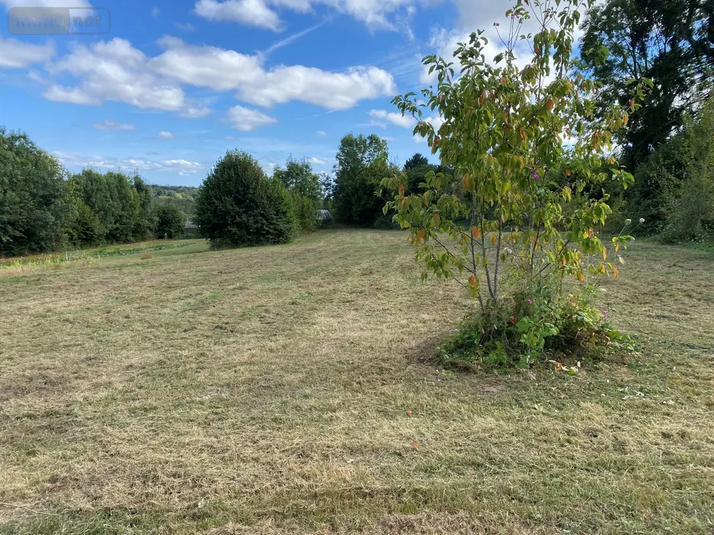 Terrain a batir a vendre Pionnat 23140 Creuse 23 13000 euros 10986/693 003