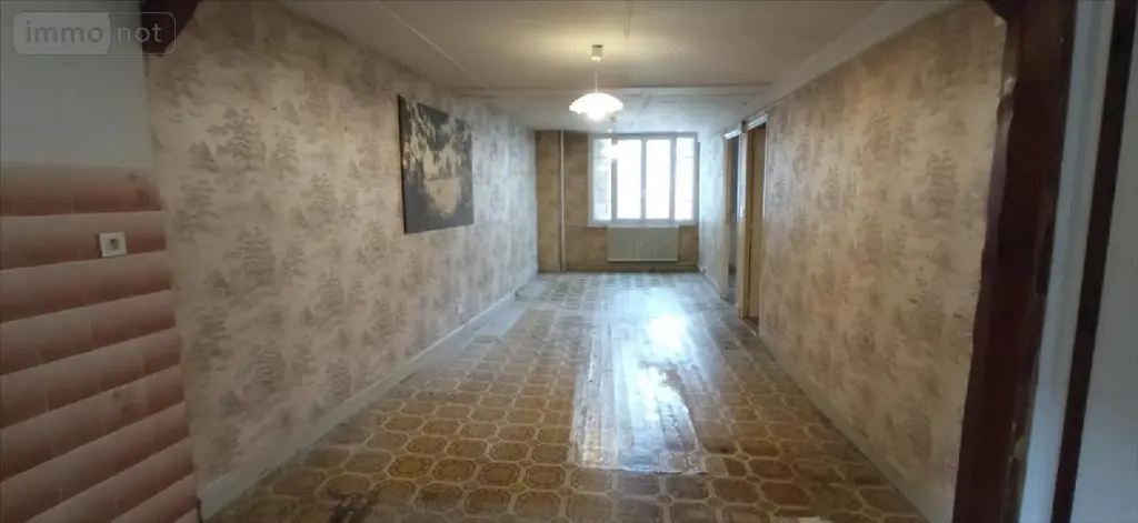 Maison a vendre Langres 52200 Haute-Marne 52 186 m2 8 pièces 75600 euros 52020-1053421 012