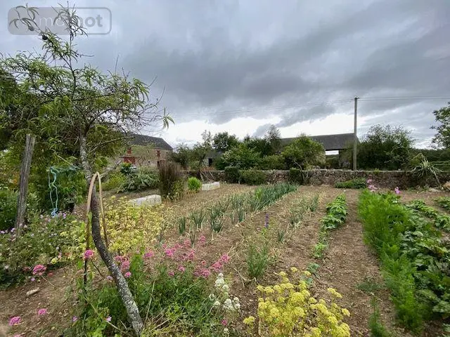 Viager propriete Placé 53240 Mayenne 53 175 m2 7 pièces 70000 euros 53047/88 005