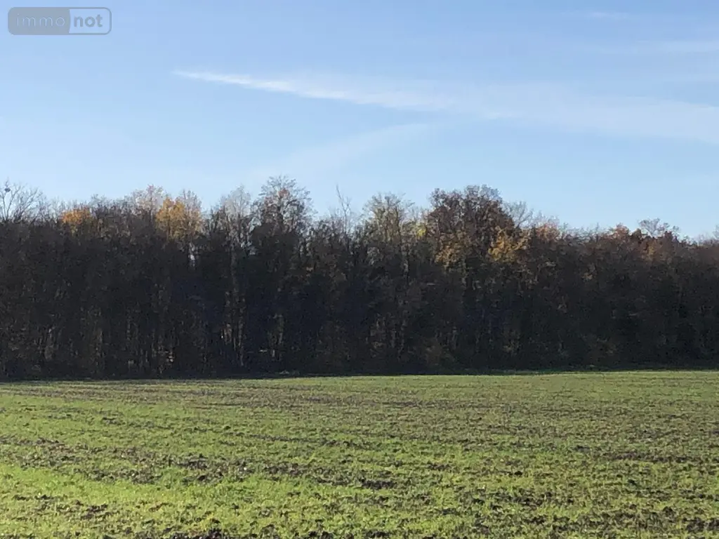Terrains de loisirs bois etangs a vendre Farges-lès-Chalon 71150 Saône-et-Loire 71 22500 euros 13783/526 001