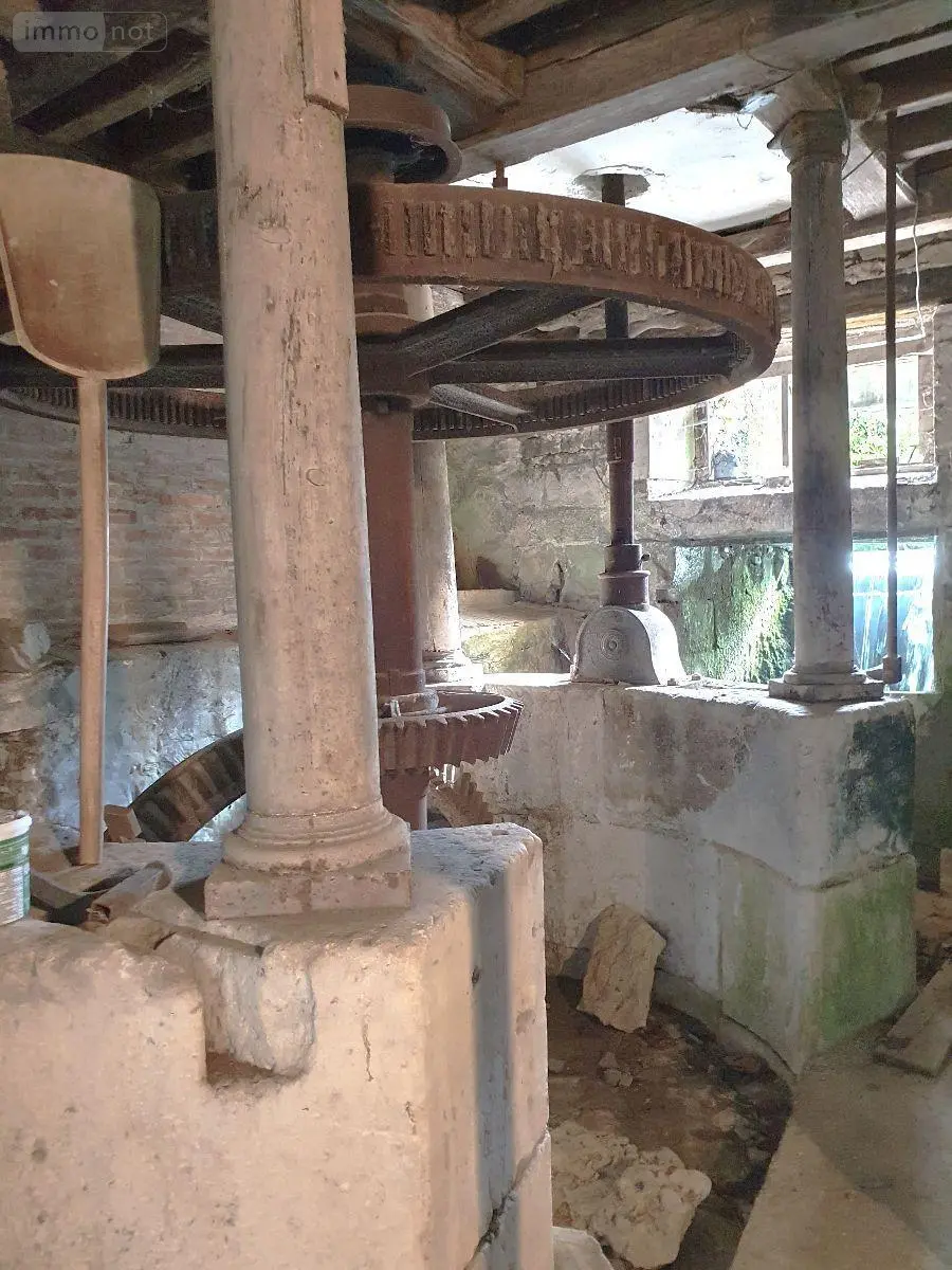 Maison a vendre Soulaines-Dhuys 10200 Aube 10 265 m2 299000 euros 51081/838 016