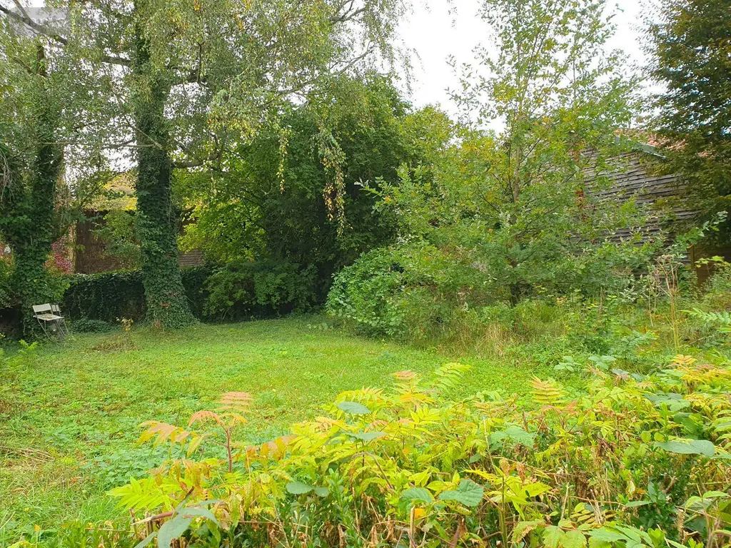 Maison a vendre Soulaines-Dhuys 10200 Aube 10 265 m2 299000 euros 51081/838 019