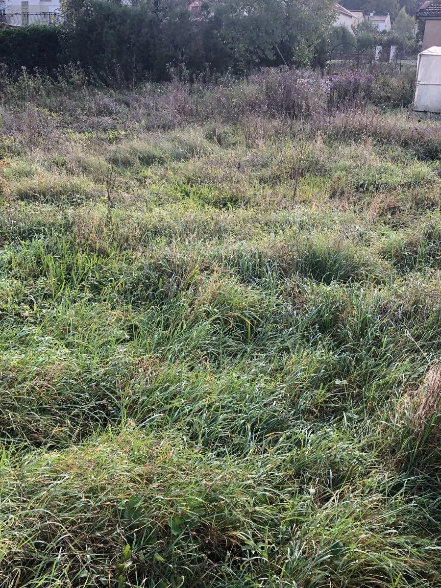 Terrain a batir a vendre Ligny-en-Barrois 55500 Meuse 55 17400 euros 55008/16 002
