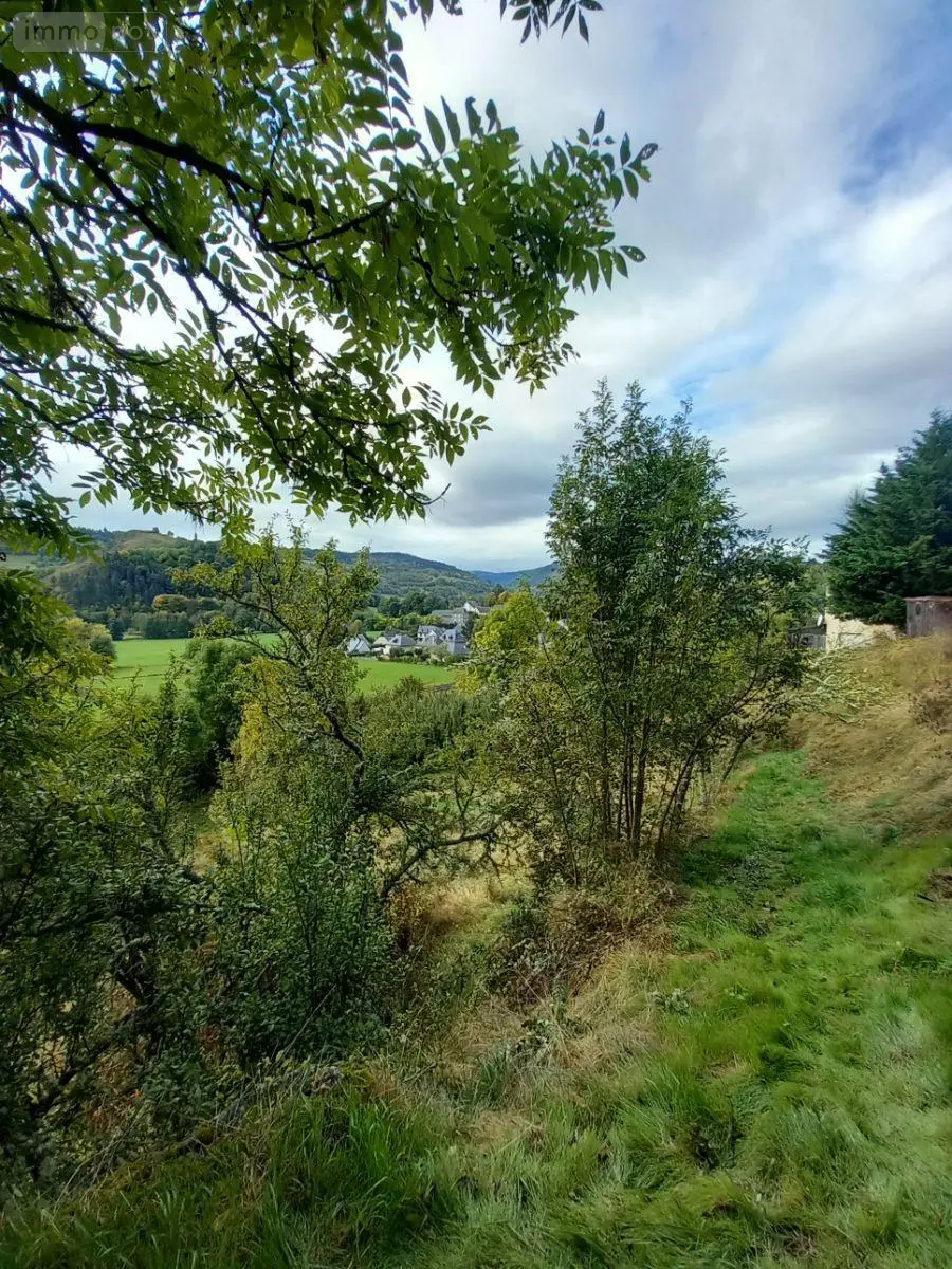 Terrain a batir a vendre Murat 15300 Cantal 15 16000 euros FG/2232 002