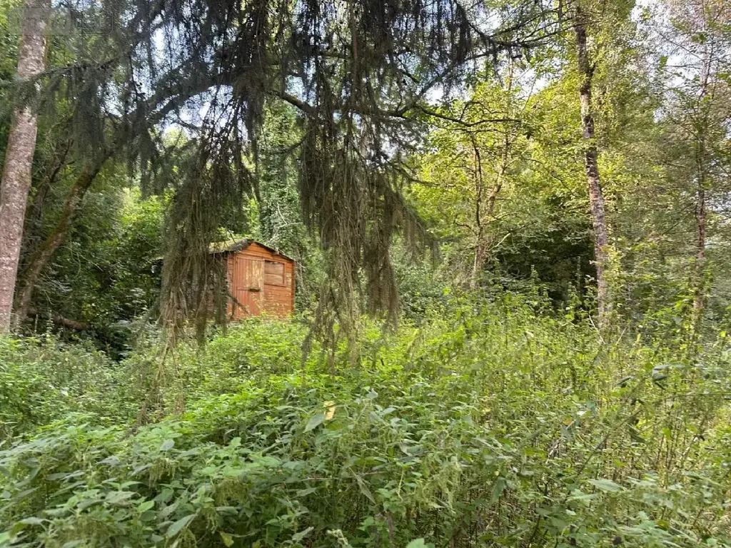 Terrains de loisirs bois etangs a vendre Vernou-sur-Brenne 37210 Indre-et-Loire 37 18900 euros 2024/1992 002
