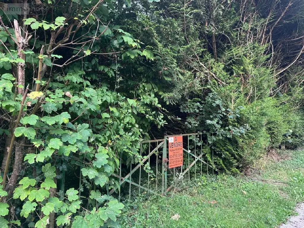 Terrains de loisirs bois etangs a vendre Vernou-sur-Brenne 37210 Indre-et-Loire 37 18900 euros 2024/1992 003