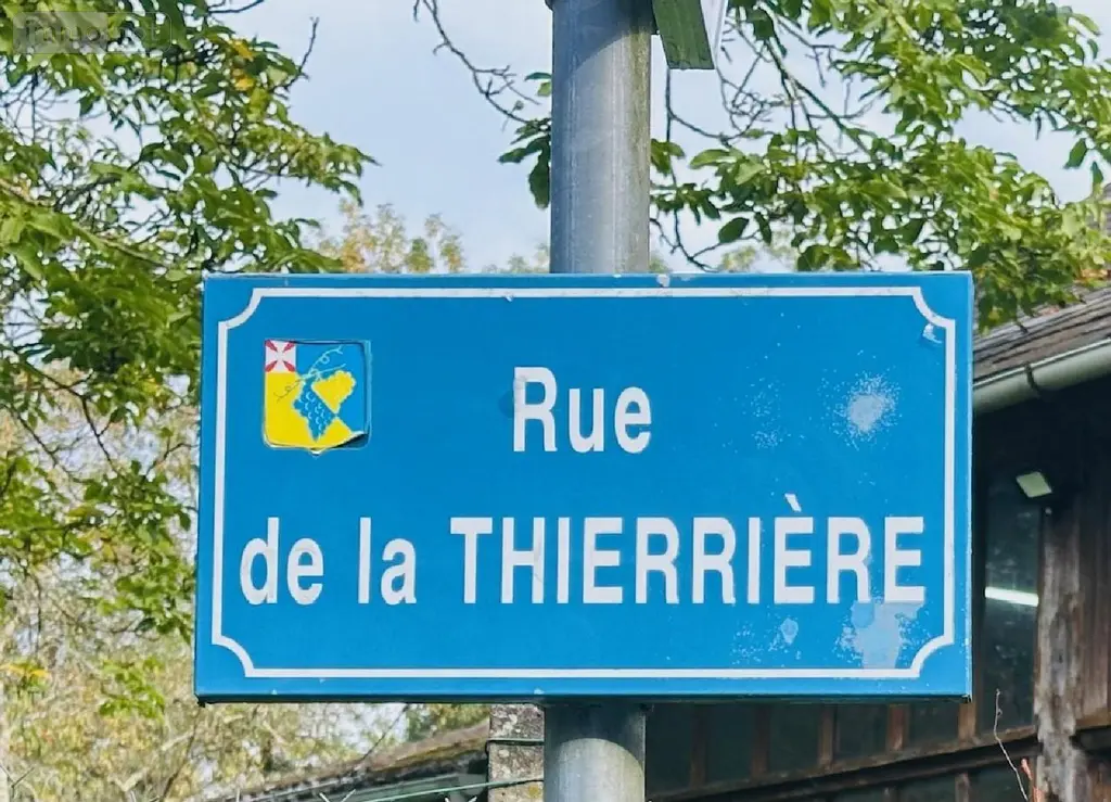 Terrains de loisirs bois etangs a vendre Vernou-sur-Brenne 37210 Indre-et-Loire 37 18900 euros 2024/1992 004