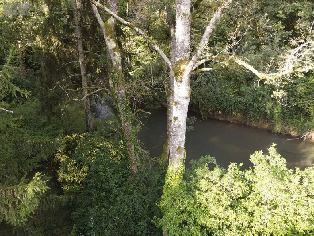 Terrains de loisirs bois etangs a vendre Vernou-sur-Brenne 37210 Indre-et-Loire 37 18900 euros 2024/1992 005