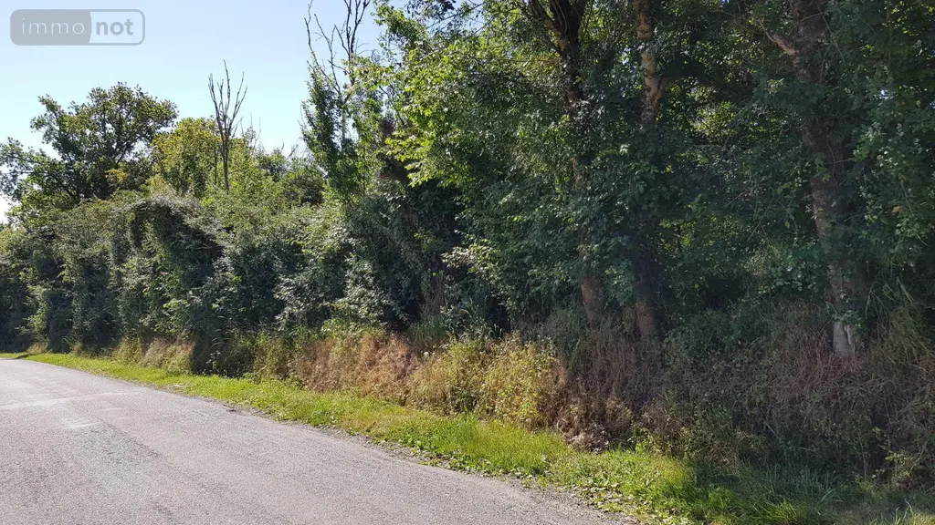 Terrain a batir a vendre Saint-Loup 41320 Loir-et-Cher 41 1260 m2 18780 euros 41036/2953 001