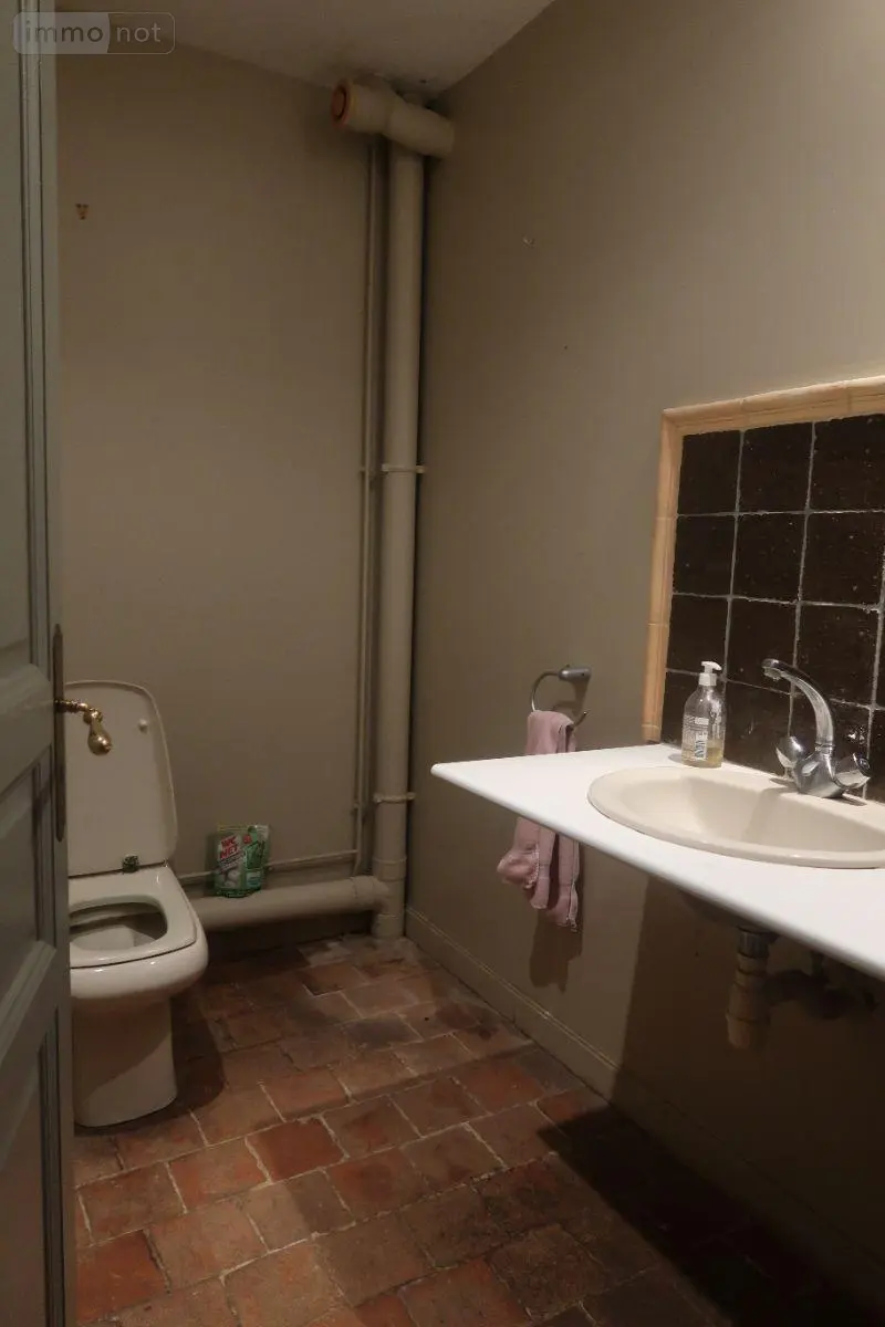 Maison a vendre Colombiers 86490 Vienne 86 281 m2 10 pièces 340000 euros 86024-MAIS2333 017