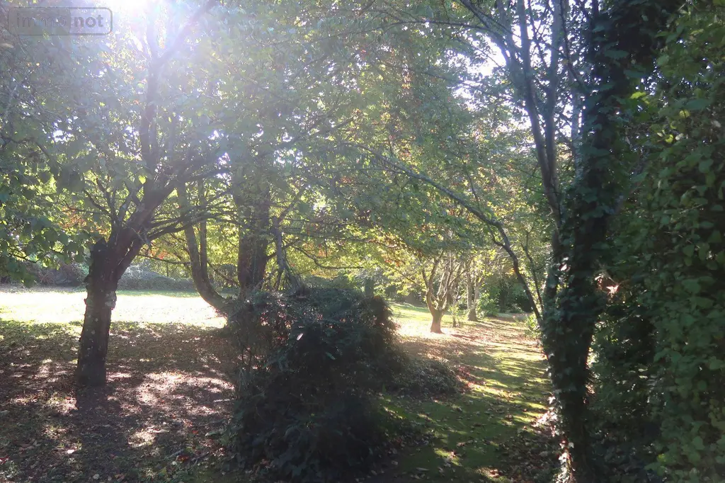 Maison a vendre Colombiers 86490 Vienne 86 281 m2 10 pièces 340000 euros 86024-MAIS2333 024