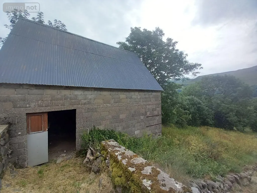 Maison a vendre Lavigerie 15300 Cantal 15 120 m2 4 pièces 95000 euros FG/2244 006