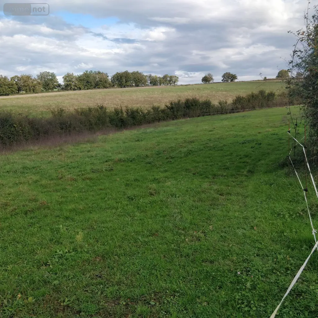 Terrain a batir a vendre Saint-Privé 71390 Saône-et-Loire 71 40000 euros 1379205/478 001