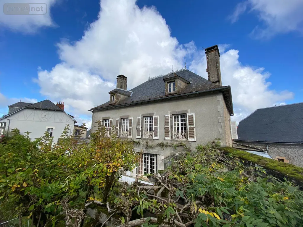 Maison a vendre Ally 15700 Cantal 15 150 m2 7 pièces 212000 euros 15060/1178 004