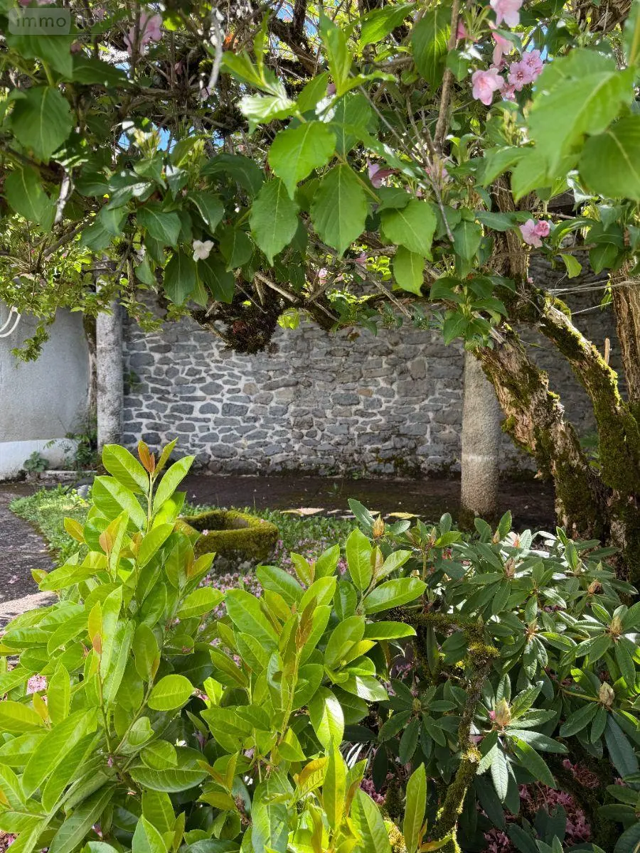 Maison a vendre Ally 15700 Cantal 15 150 m2 7 pièces 212000 euros 15060/1178 018