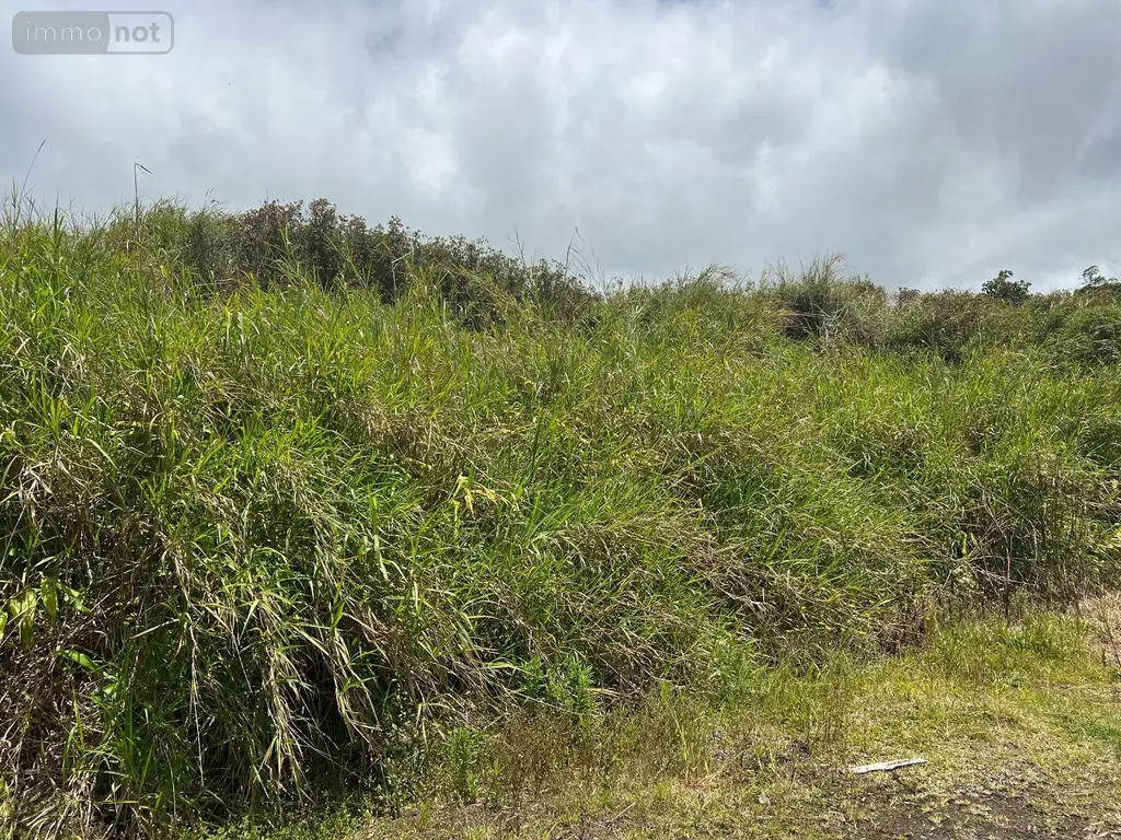 Terrain a batir a vendre La Plaine-des-Palmistes 97431 La Réunion 974 233600 euros 97405/96 002