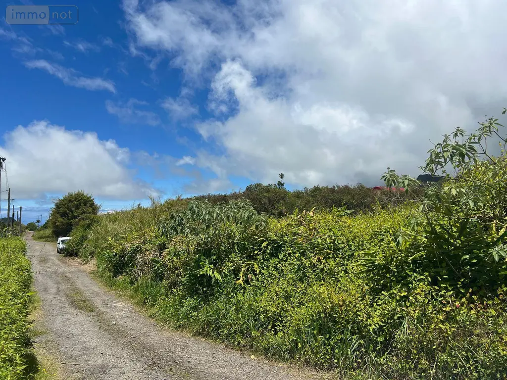 Terrain a batir a vendre La Plaine-des-Palmistes 97431 La Réunion 974 233600 euros 97405/96 004