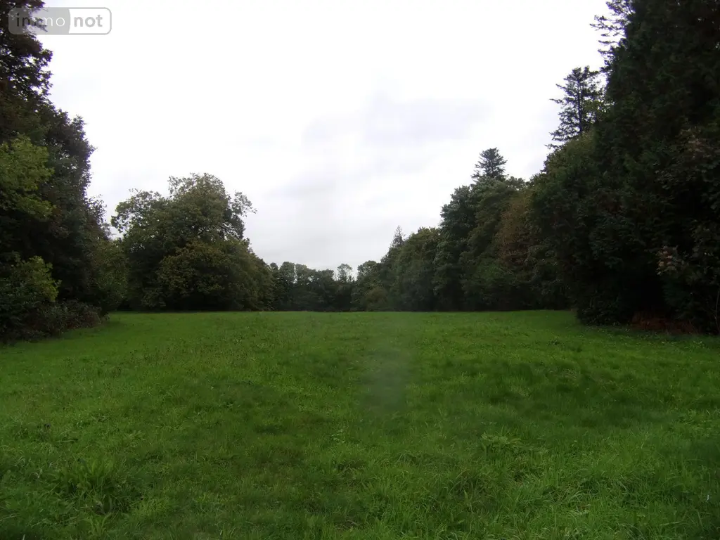 Propriete a vendre Saint-Denis-de-Gastines 53500 Mayenne 53 322 m2 12 pièces 530137 euros 53047/97 002
