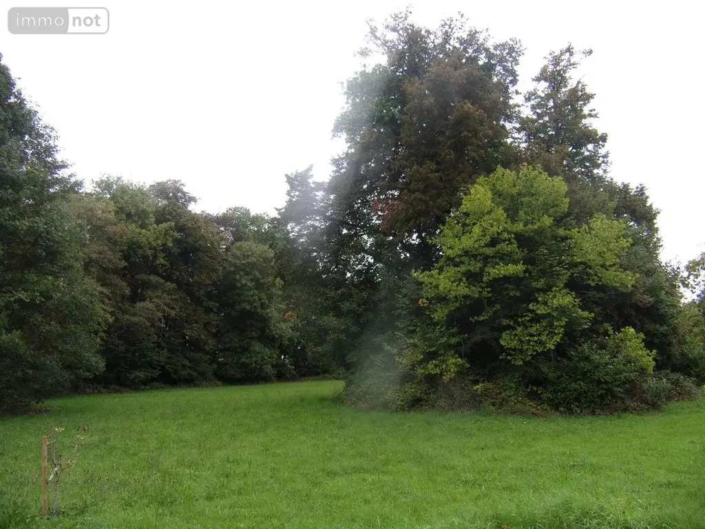 Propriete a vendre Saint-Denis-de-Gastines 53500 Mayenne 53 322 m2 12 pièces 530137 euros 53047/97 020