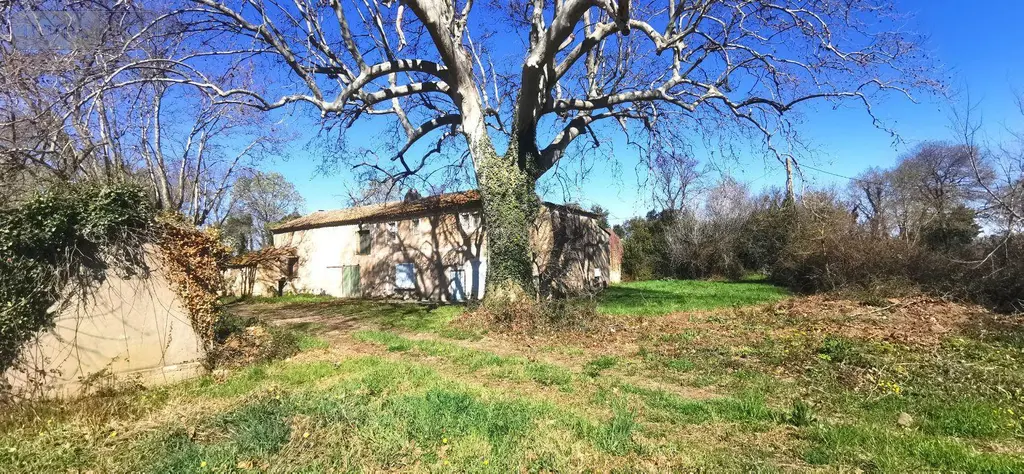 Propriete a vendre Saint-Martin-de-Crau 13310 Bouches-du-Rhône 13 170 m2 6 pièces 780000 euros 075/167 006