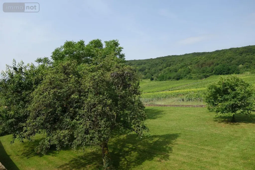 Maison a vendre Péronne 71260 Saône-et-Loire 71 204 m2 7 pièces 489000 euros MA 633 018