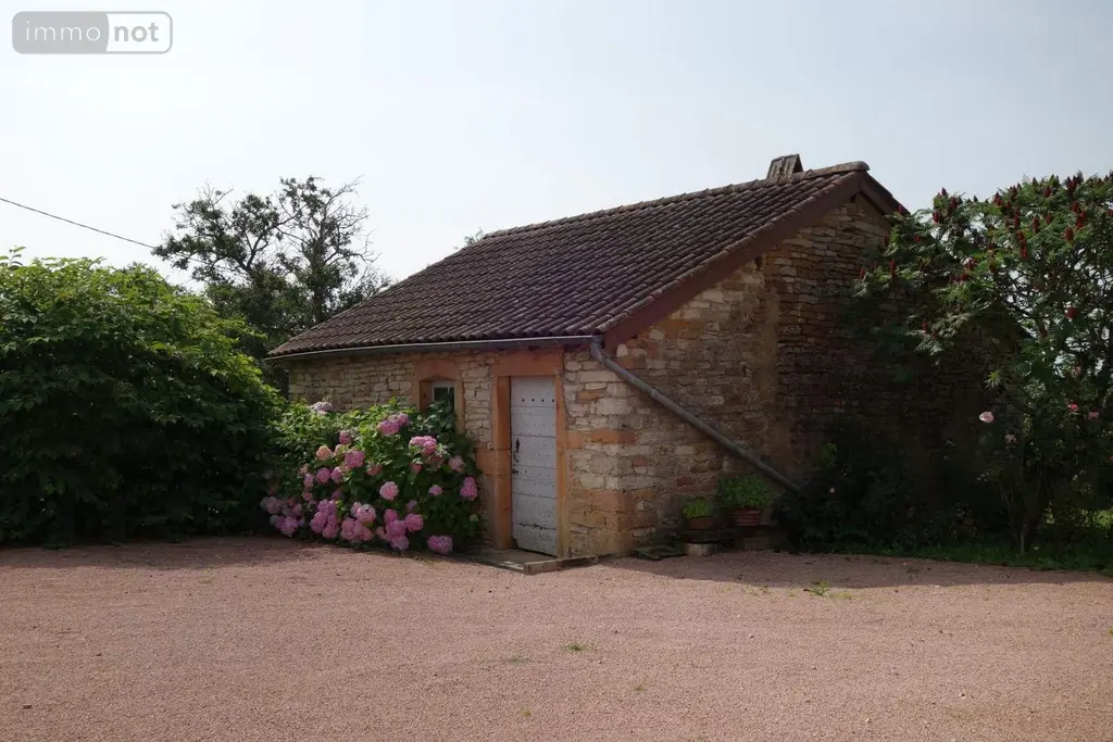 Maison a vendre Péronne 71260 Saône-et-Loire 71 204 m2 7 pièces 489000 euros MA 633 003