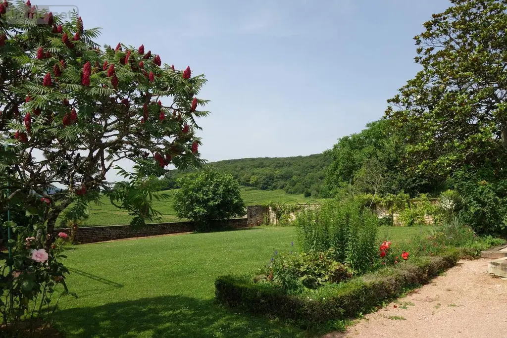 Maison a vendre Péronne 71260 Saône-et-Loire 71 204 m2 7 pièces 489000 euros MA 633 004