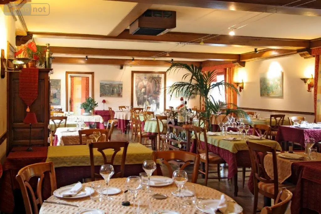 Fonds et murs commerciaux a vendre Mâcon 71000 Saône-et-Loire 71 838 m2 18 pièces 421500 euros MU 54 003