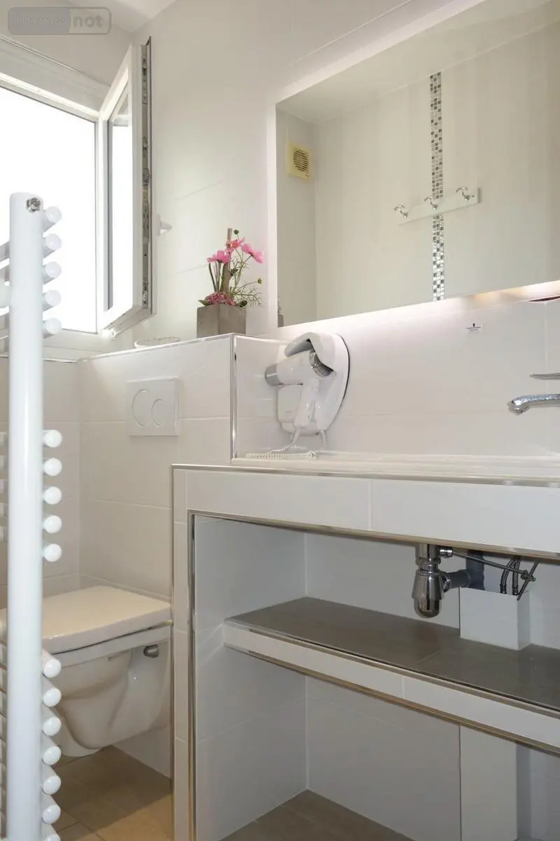Fonds et murs commerciaux a vendre Mâcon 71000 Saône-et-Loire 71 838 m2 18 pièces 421500 euros MU 54 005