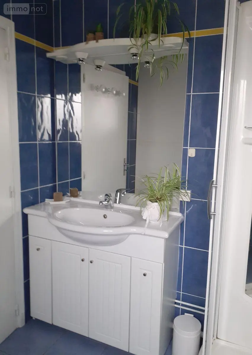 Appartement a vendre Blois 41000 Loir-et-Cher 41 71 m2 3 pièces 158600 euros 001/2125 013