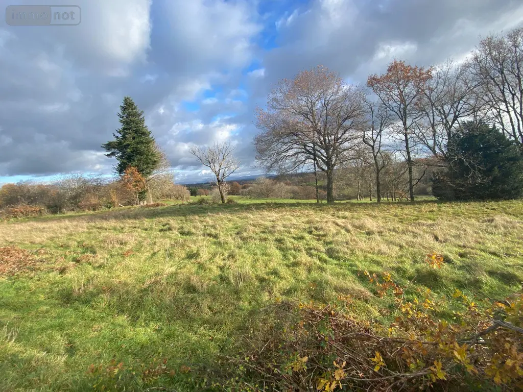 Terrain a batir a vendre Pleaux 15700 Cantal 15 2390 m2 21500 euros 15060/1183 002