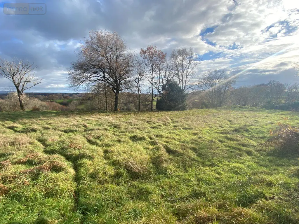 Terrain a batir a vendre Pleaux 15700 Cantal 15 2390 m2 21500 euros 15060/1183 003