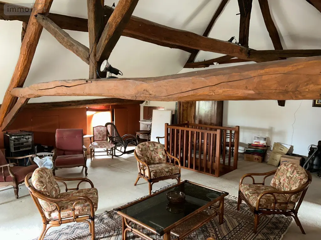 Maison a vendre Avaray 41500 Loir-et-Cher 41 290 m2 8 pièces 187500 euros 41022/1322 014