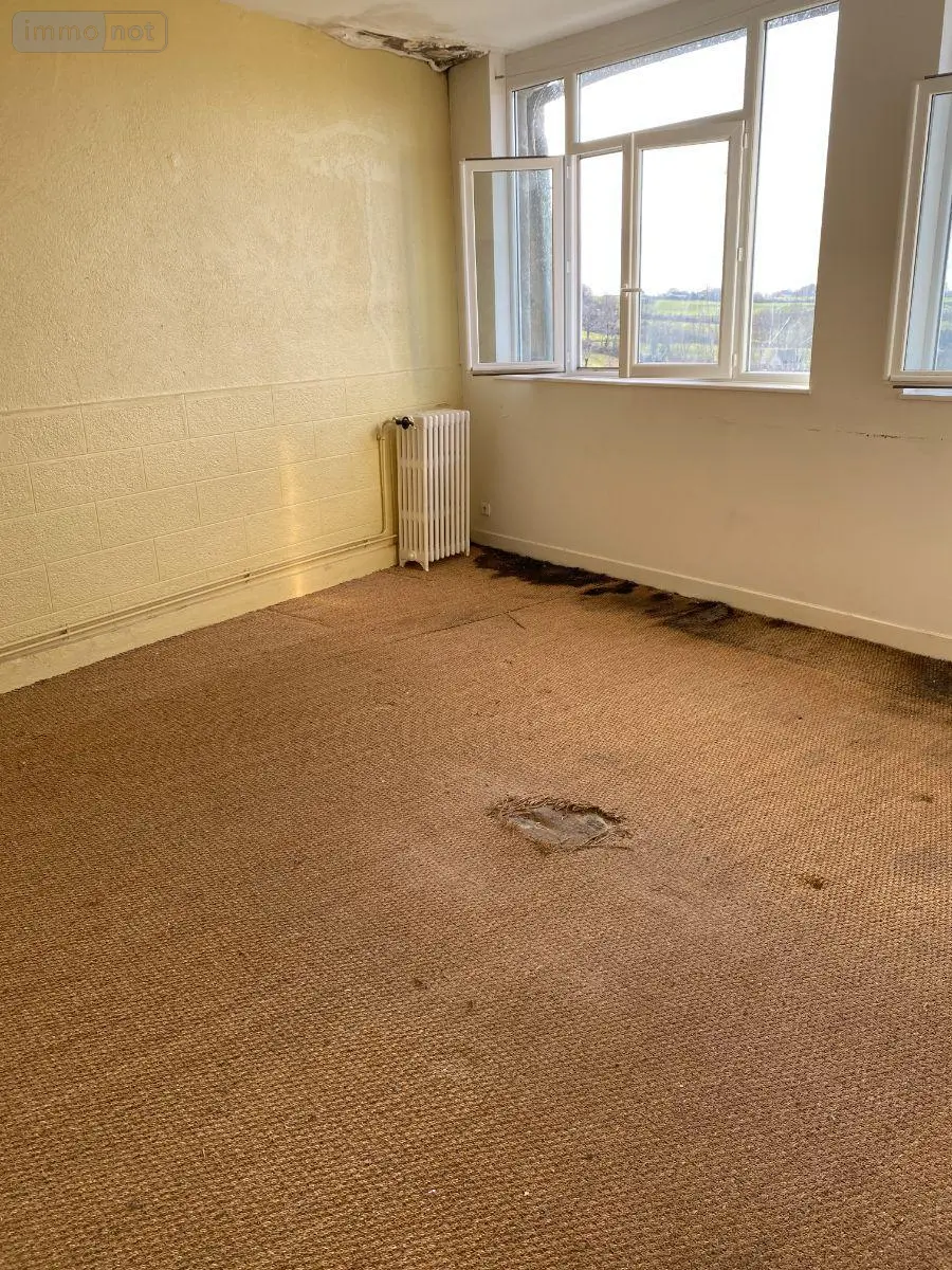 Appartement a vendre Mauriac 15200 Cantal 15 100 m2 53000 euros 15060/1185 009