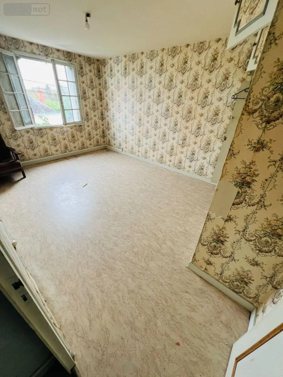 Maison a vendre Châtillon-sur-Indre 36700 Indre 36 150 m2 8 pièces 76000 euros 016/402 006