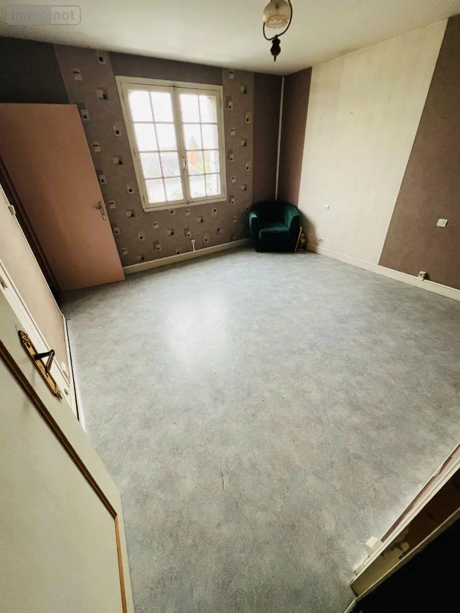 Maison a vendre Châtillon-sur-Indre 36700 Indre 36 150 m2 8 pièces 76000 euros 016/402 007