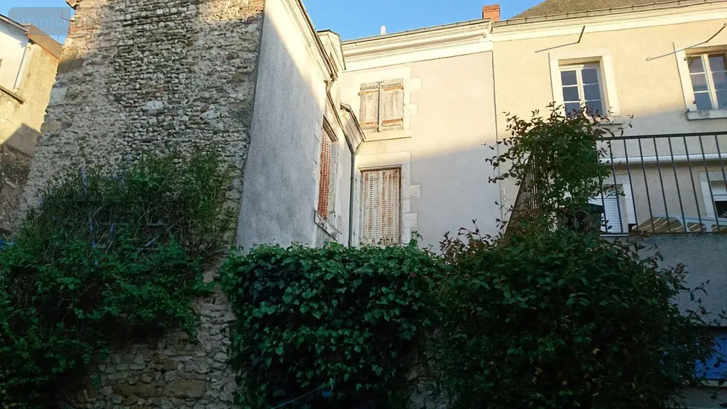 Immeuble de rapport a vendre Buzançais 36500 Indre 36 150 m2 3 pièces 160200 euros 1049665 006