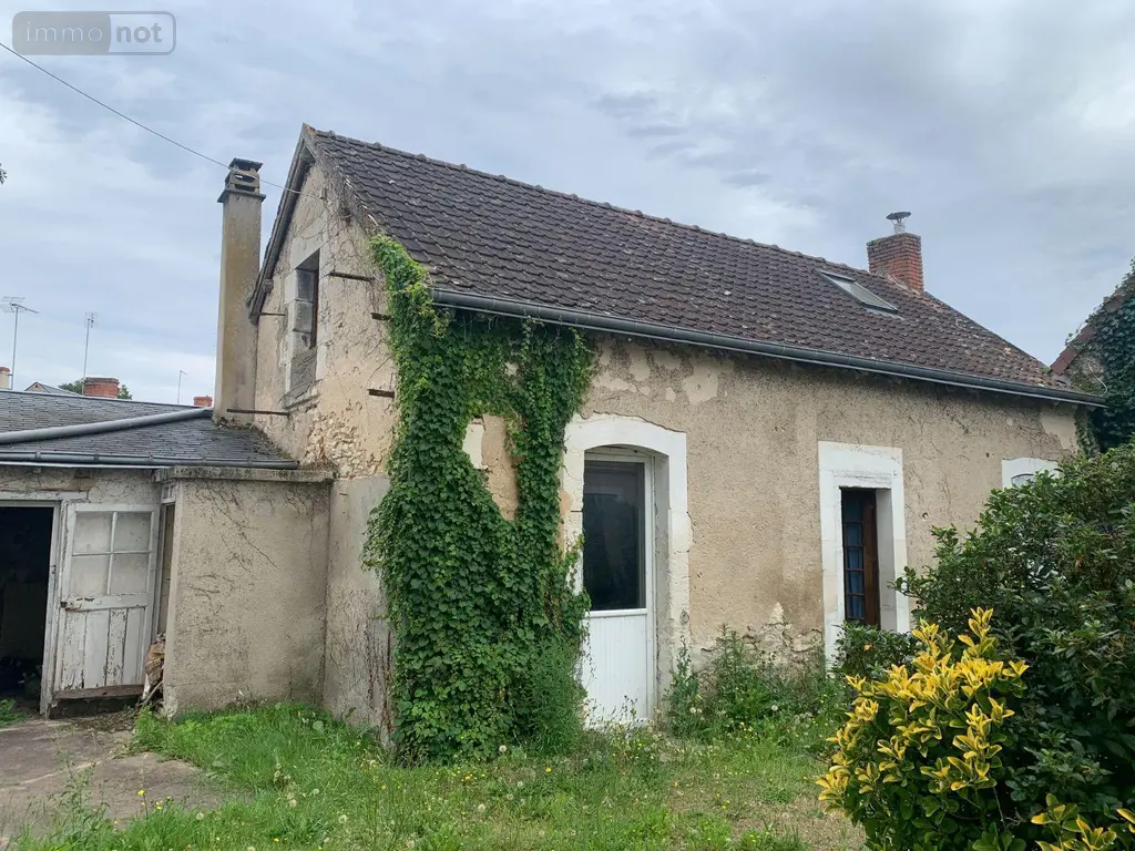 Maison a vendre Mézières-en-Brenne 36290 Indre 36 190 m2 8 pièces 79900 euros 1047877 016