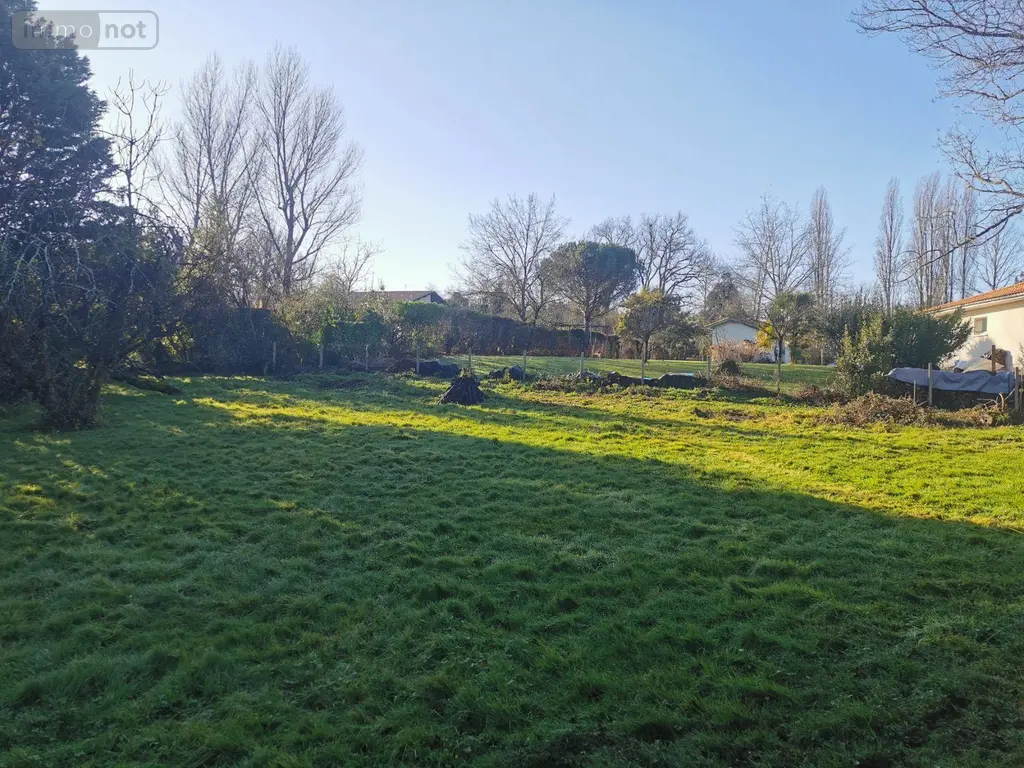 Terrain a batir a vendre Tresses 33370 Gironde 33 182000 euros 045/2172 001