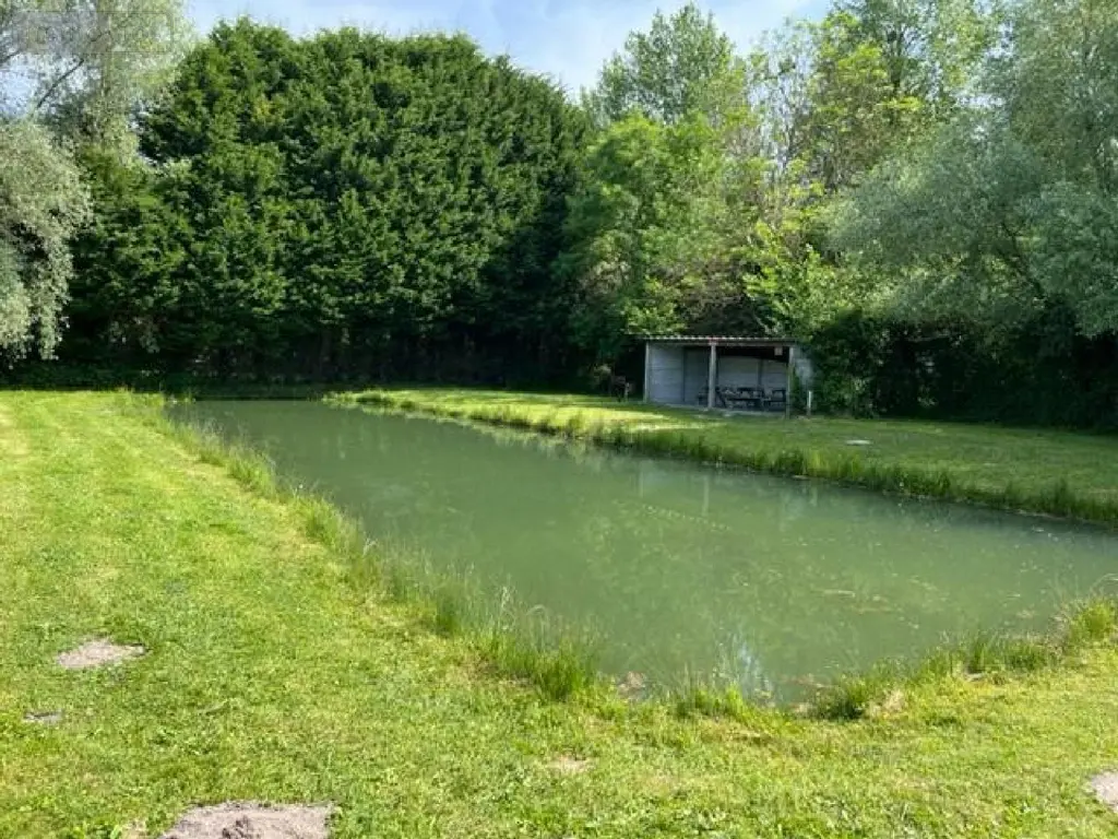 Terrains de loisirs bois etangs a vendre Villers-sur-Authie 80120 Somme 80 136649 euros 083/1869 005