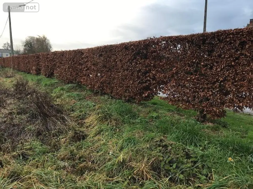 Terrain a batir a vendre Boubers-sur-Canche 62270 Pas-de-Calais 62 1200 m2 32000 euros 083/1419 003